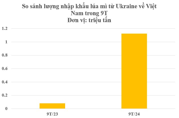 Hàng triệu tấn hàng từ Ukraine đổ bộ Việt Nam trong 9 tháng đầu năm: Việt Nam nhập khẩu top 10 thế giới vì không thể trồng nội địa - Ảnh 3
