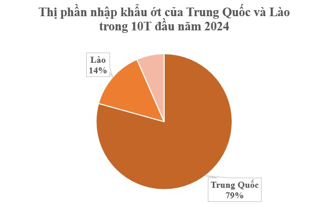 Việt Nam sở hữu loại quả gia vị triệu đô được Lào, Trung Quốc cực kỳ mê: Thu về 23 triệu USD kể từ đầu năm, nước ta có sản lượng hàng trăm nghìn tấn - Ảnh 2