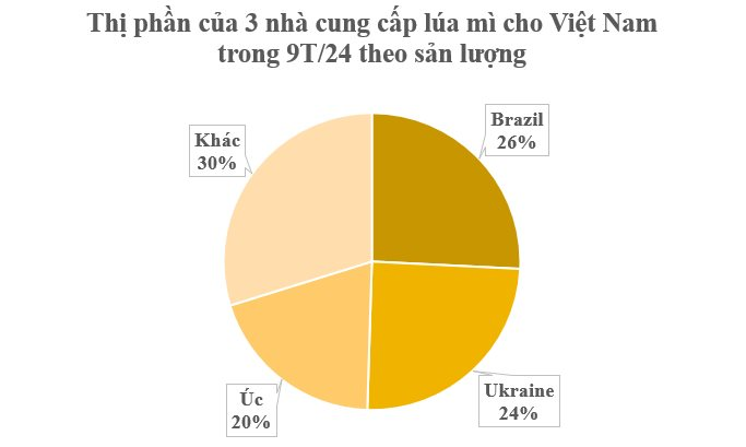 Hàng triệu tấn hàng từ Ukraine đổ bộ Việt Nam trong 9 tháng đầu năm: Việt Nam nhập khẩu top 10 thế giới vì không thể trồng nội địa - Ảnh 2