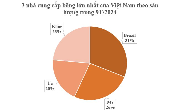 Hàng trăm nghìn tấn hàng từ Brazil đổ bộ Việt Nam với giá rẻ hấp dẫn: Chi hơn 2 tỷ USD nhập khẩu, nước ta tiêu thụ đứng thứ 3 thế giới - Ảnh 2