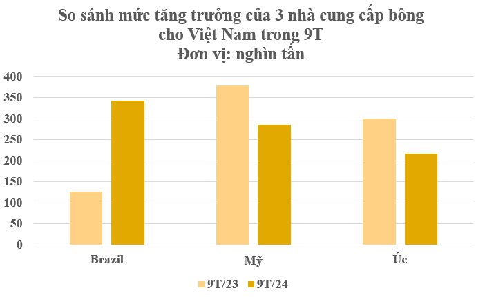 Hàng trăm nghìn tấn hàng từ Brazil đổ bộ Việt Nam với giá rẻ hấp dẫn: Chi hơn 2 tỷ USD nhập khẩu, nước ta tiêu thụ đứng thứ 3 thế giới - Ảnh 3