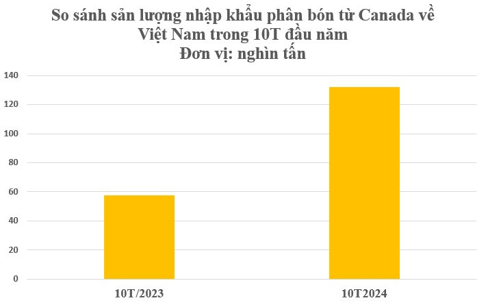 Hàng trăm nghìn tấn báu vật từ Canada đổ bộ Việt Nam với giá rẻ bất ngờ: Chi hàng tỷ USD nhập khẩu, nước ta tiêu thụ 10,4 triệu tấn mỗi năm - Ảnh 3