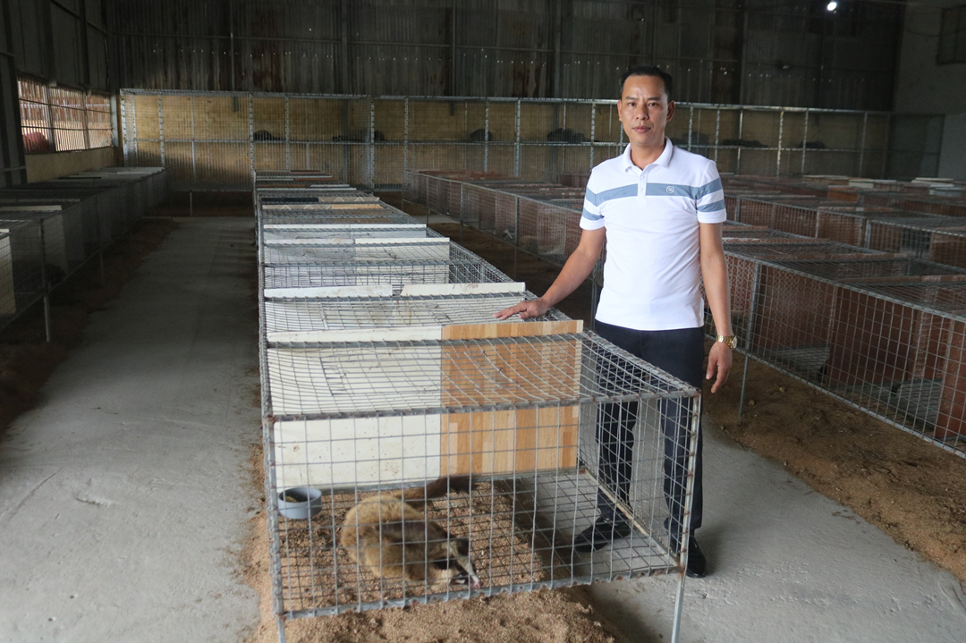 Cãi vợ nuôi đặc sản "dân nhậu thích mê", anh nông dân kiếm hàng tỷ đồng mỗi năm - Ảnh 1