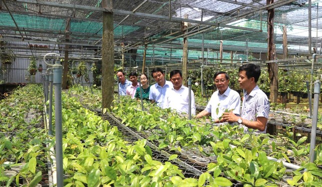 Chàng trai khởi nghiệp thành công từ 'loài hoa lạ’ - Ảnh 10