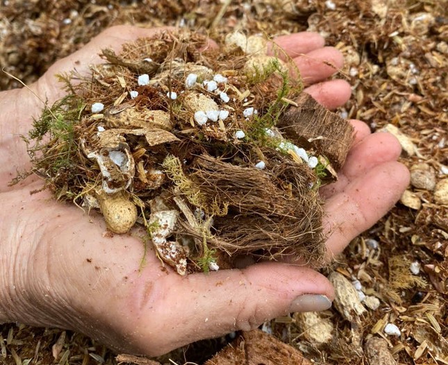 Chàng trai khởi nghiệp thành công từ 'loài hoa lạ’ - Ảnh 9