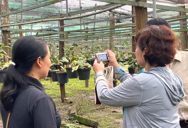 Chàng trai khởi nghiệp thành công từ 'loài hoa lạ’ - Ảnh 7