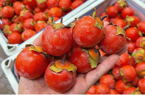 Chi hơn 100 triệu USD nhập khẩu loại hoa quả Trung Quốc, giá sỉ tại chợ khiến dân tình choáng váng - Ảnh 6