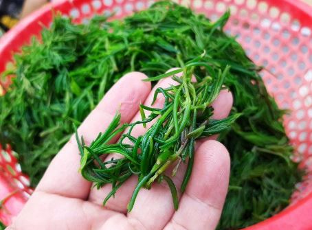 Cây dại mọc bờ bụi không ai ngó nay thành đặc sản dân phố "thích mê", 100.000 đồng/kg - Ảnh 4