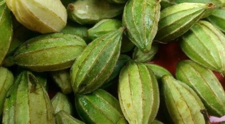 Cây dại mọc bờ bụi xưa không ai ăn, nay thành đặc sản dân phố săn lùng, 30.000 đồng/kg - Ảnh 2