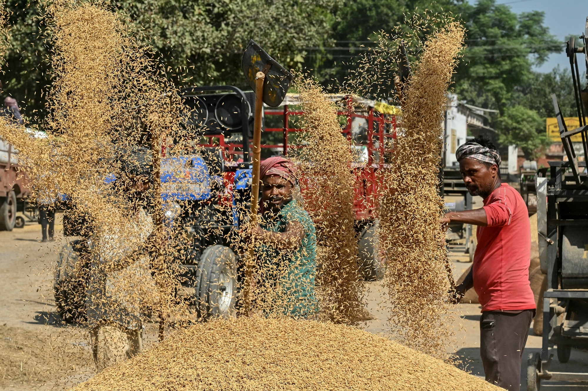 Ấn Độ nới lỏng xuất khẩu gạo và sự tác động đến thị trường quốc tế - Ảnh 4