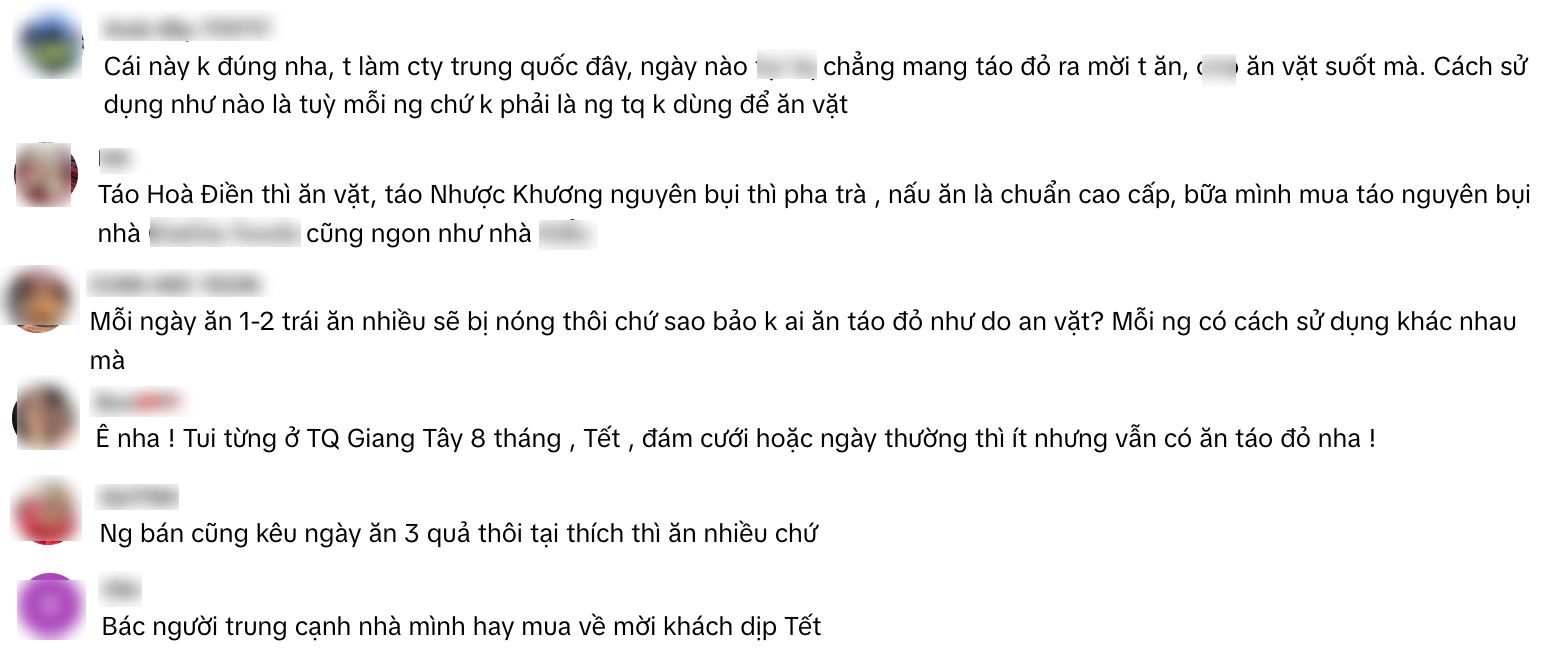 "Không ai ăn táo đỏ như đồ ăn vặt như Việt Nam mình hiện tại", phát ngôn của TikToker khiến MXH bùng nổ tranh cãi - Ảnh 4