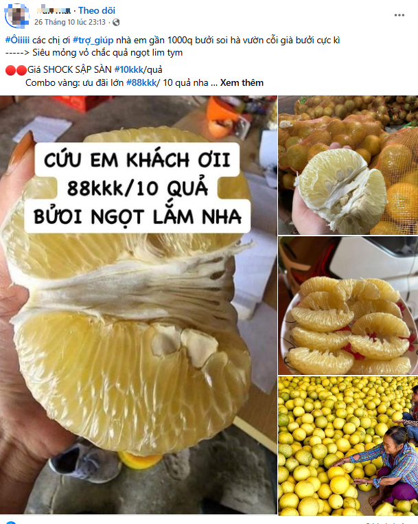 Sự thật đằng sau loại trái cây đặc sản mọng nước, dày mình, thanh mát được rao bán chưa đến 3.000 đồng/quả - Ảnh 2