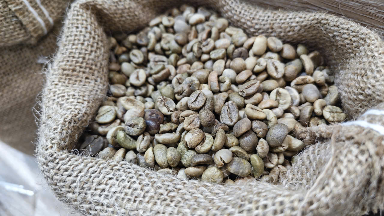 Giá cà phê hôm nay 28-11: Tăng "điên cuồng", phá vỡ mọi đỉnh lịch sử - Ảnh 1