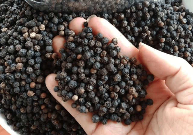 Xuất khẩu hồ tiêu tăng giá trị đến 48% - Ảnh 1