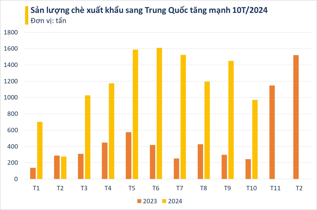 Trung Quốc nhập hàng nghìn tấn 'vàng trên cây' của Việt Nam: diện tích trồng gấp 14 lần, có bao nhiêu mua bấy nhiêu - Ảnh 3