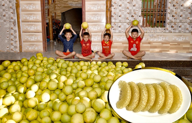 Sự thật đằng sau loại trái cây đặc sản mọng nước, dày mình, thanh mát được rao bán chưa đến 3.000 đồng/quả - Ảnh 4