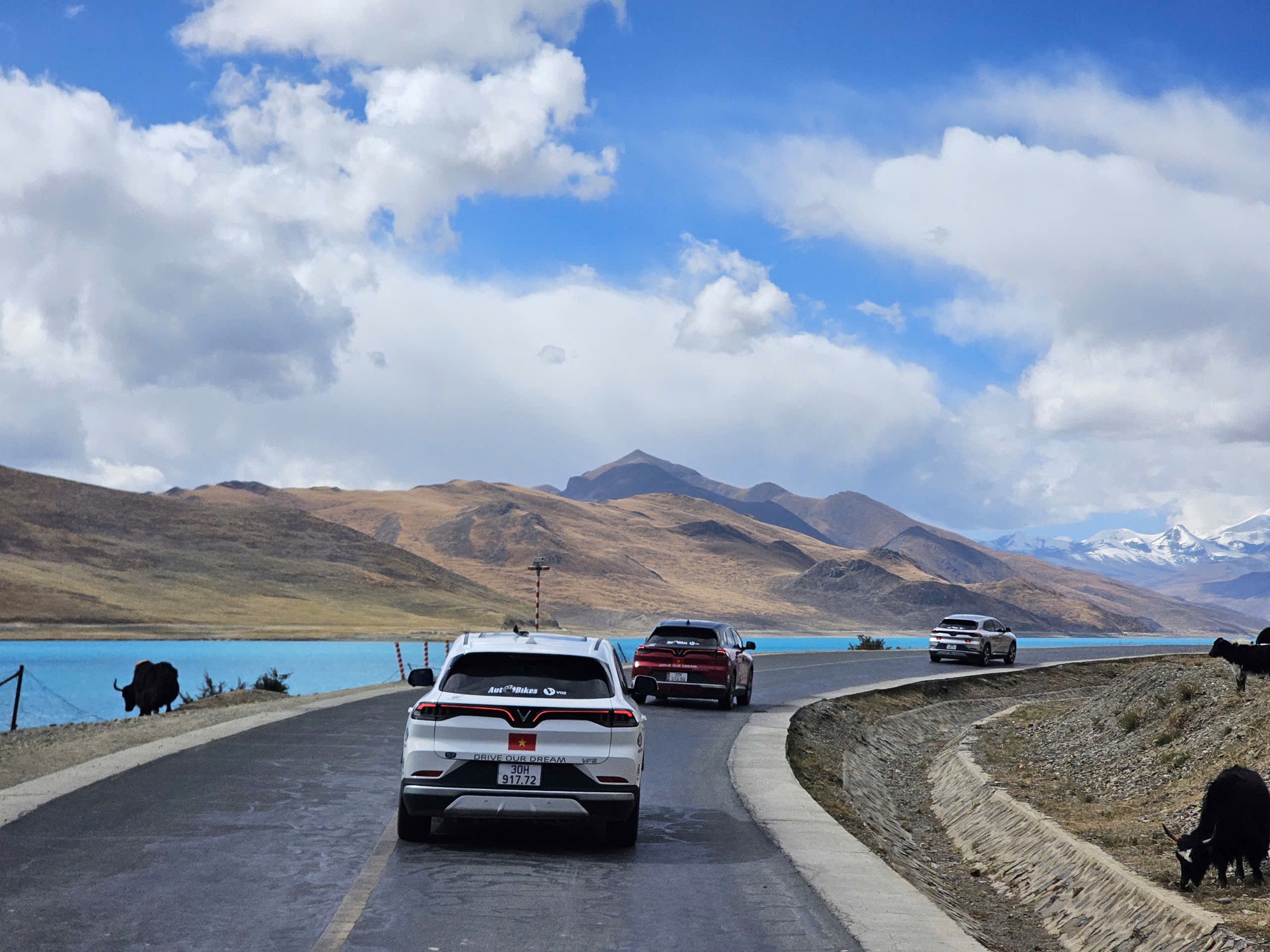 [Trên Ghế 41] Số này dành cho anti-fan VinFast VF 8: Chủ xe đời đầu trả lời hết các thắc mắc! - Ảnh 3