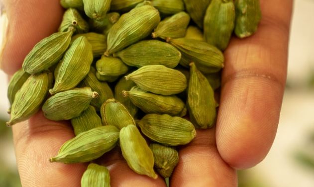 Loại gia vị đắt đỏ bậc nhất thế giới, 2 triệu đồng/kg, ở Việt Nam trồng bạt ngàn - Ảnh 2