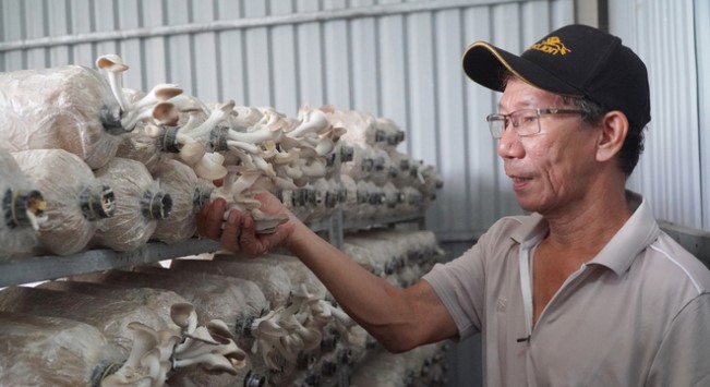 Mạnh dạn bẻ lái trồng loại cây "không lá", ông nông dân thu lãi 400 triệu/năm rất nhẹ nhàng - Ảnh 1