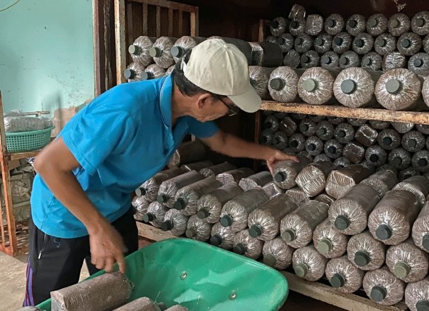 Mạnh dạn bẻ lái trồng loại cây "không lá", ông nông dân thu lãi 400 triệu/năm rất nhẹ nhàng - Ảnh 2