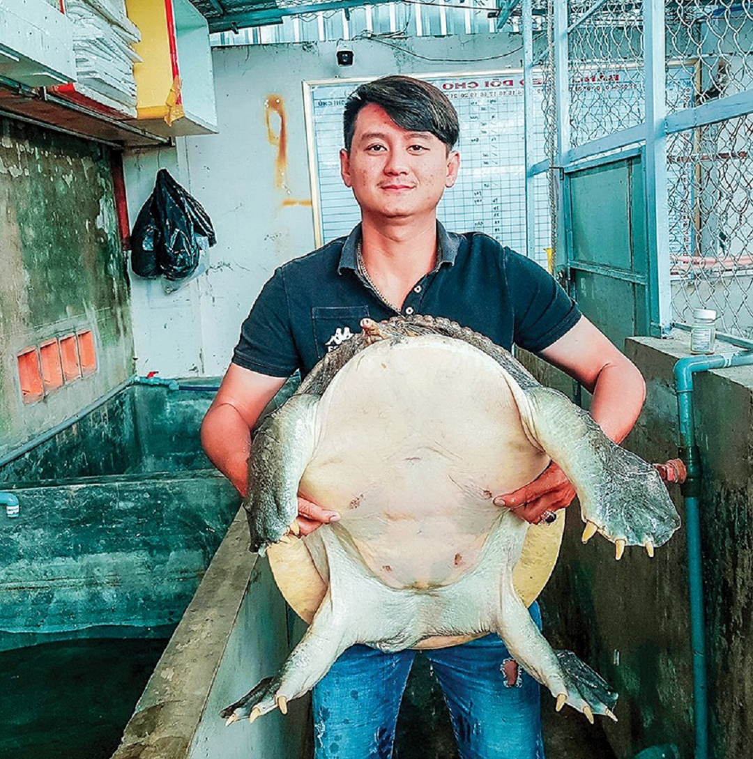 Mạnh dạn đầu tư nuôi loài "siêu to khổng lồ", anh nông dân nhẹ nhàng lãi 2 tỷ đồng - Ảnh 1