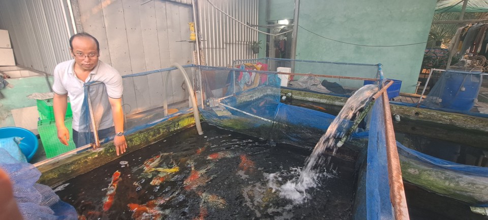 Mạnh dạn đầu tư nuôi con "hiền lành, mắn đẻ", anh nông dân nhẹ nhàng kiếm 1 tỷ đồng/năm - Ảnh 1