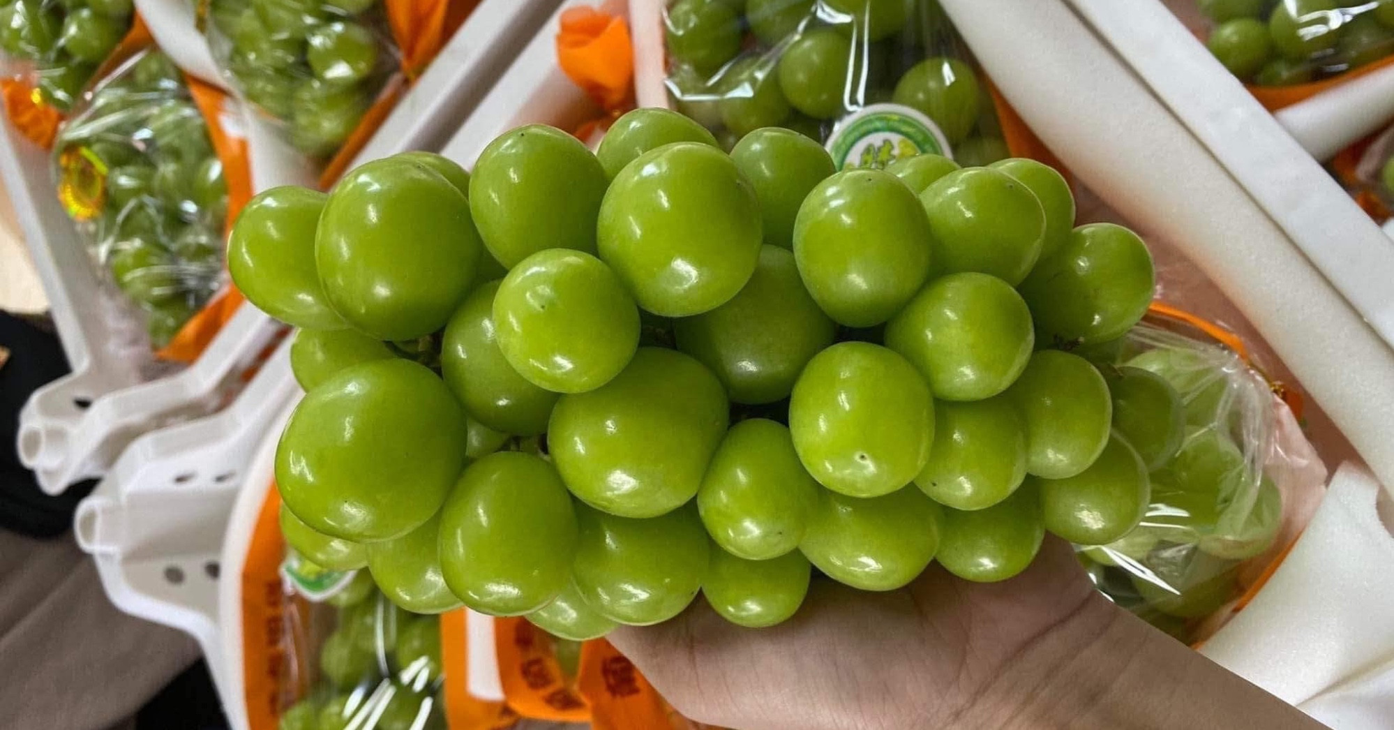 Chi hơn 100 triệu USD nhập khẩu loại hoa quả Trung Quốc, giá sỉ tại chợ khiến dân tình choáng váng - Ảnh 1