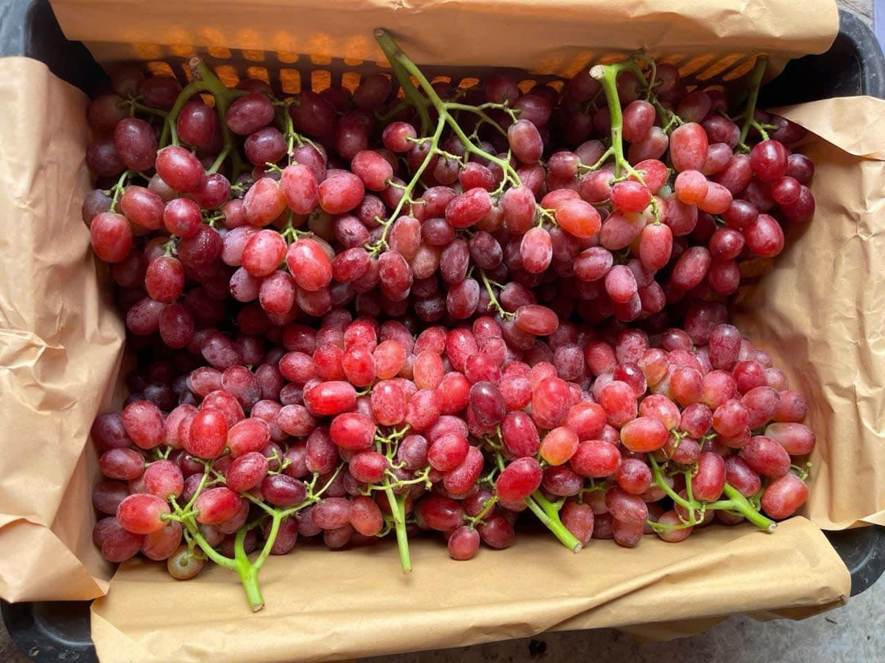 Chi hơn 100 triệu USD nhập khẩu loại hoa quả Trung Quốc, giá sỉ tại chợ khiến dân tình choáng váng - Ảnh 4