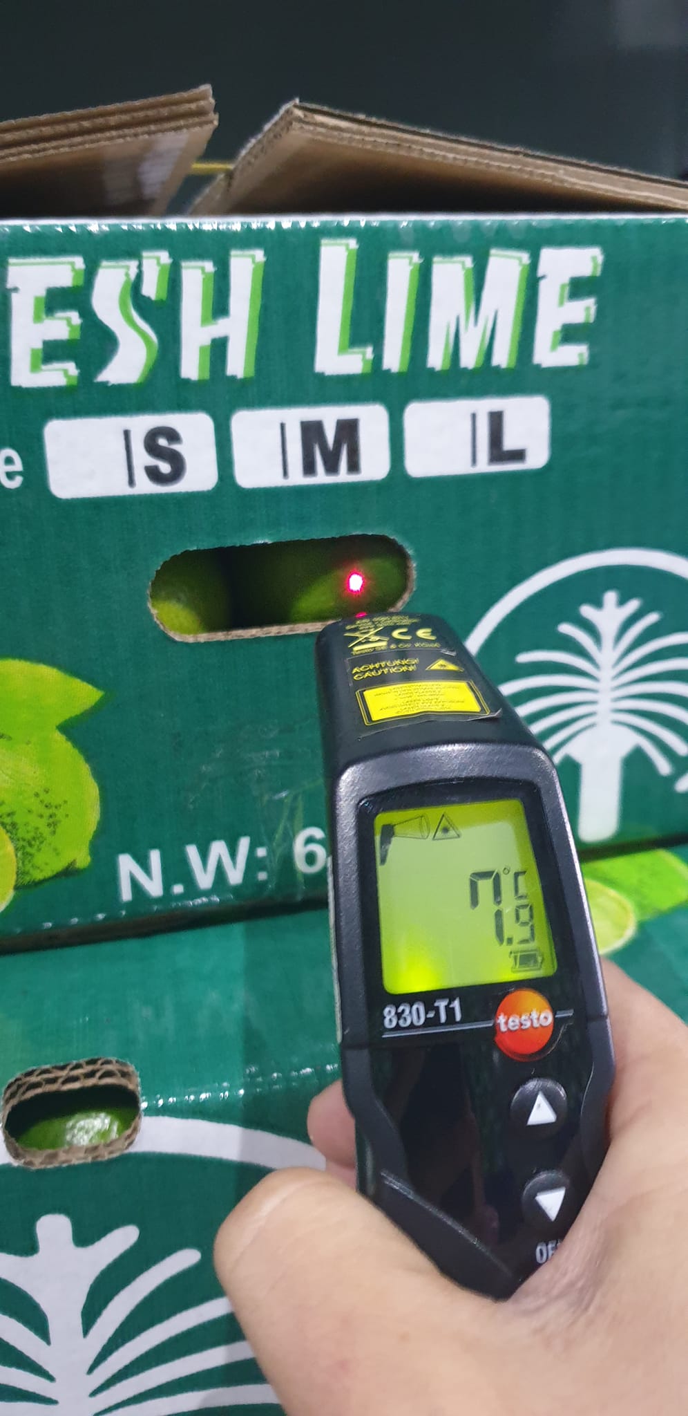 Loại quả bình dân làm nên tinh túy trên bàn ăn của người Việt vươn tầm quốc tế đến với các thị trường - Ảnh 14