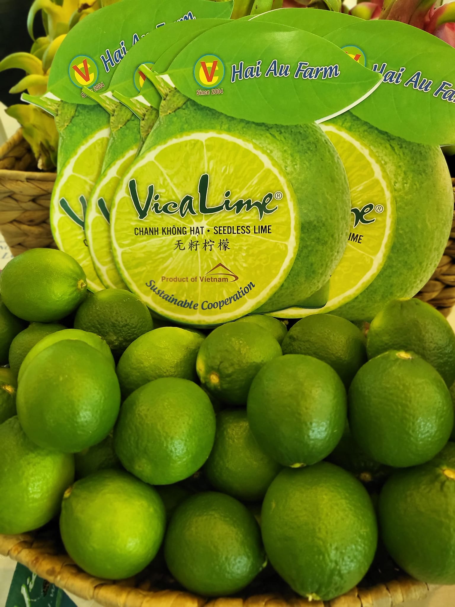 Loại quả bình dân làm nên tinh túy trên bàn ăn của người Việt vươn tầm quốc tế đến với các thị trường - Ảnh 10