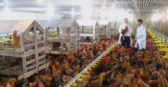 Ông nông dân kiếm 90 tỷ đồng/năm nhờ "bẻ lái" nuôi con mắn đẻ, "hiền như cục đất" - Ảnh 2