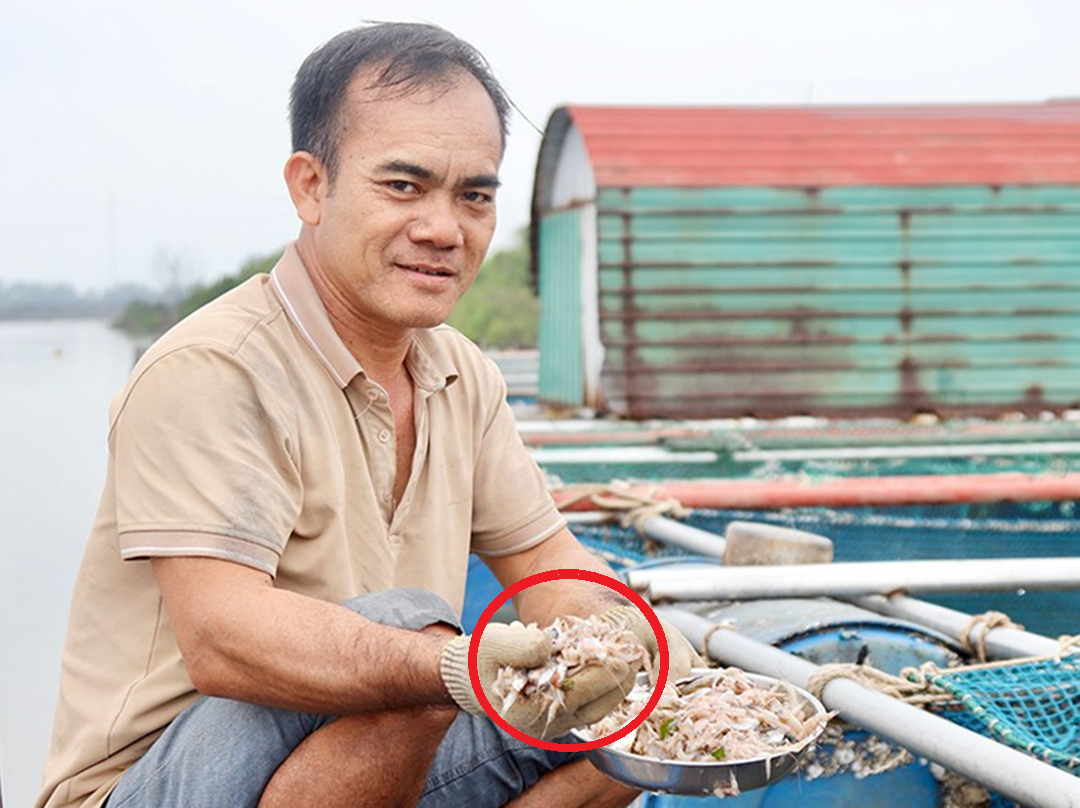 Anh nông dân nuôi con "hiền như cục đất" nhẹ nhàng bỏ túi 800 triệu đồng - Ảnh 2