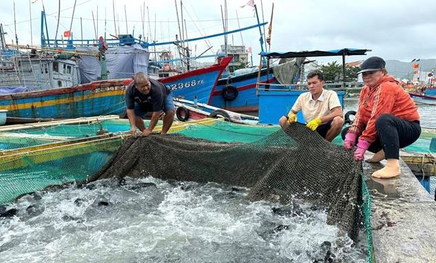 Ông nông dân thu lãi 1 tỷ đồng nhờ "bẻ lái" nuôi con "vừa ngon vừa đẹp" - Ảnh 3