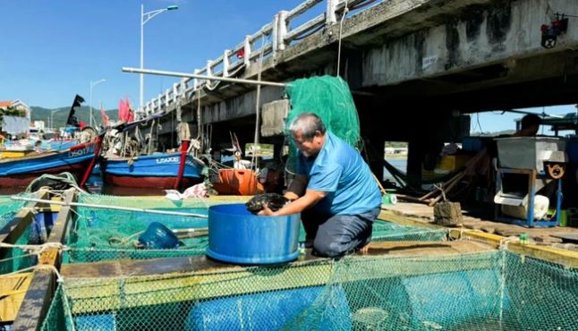Ông nông dân thu lãi 1 tỷ đồng nhờ "bẻ lái" nuôi con "vừa ngon vừa đẹp" - Ảnh 1