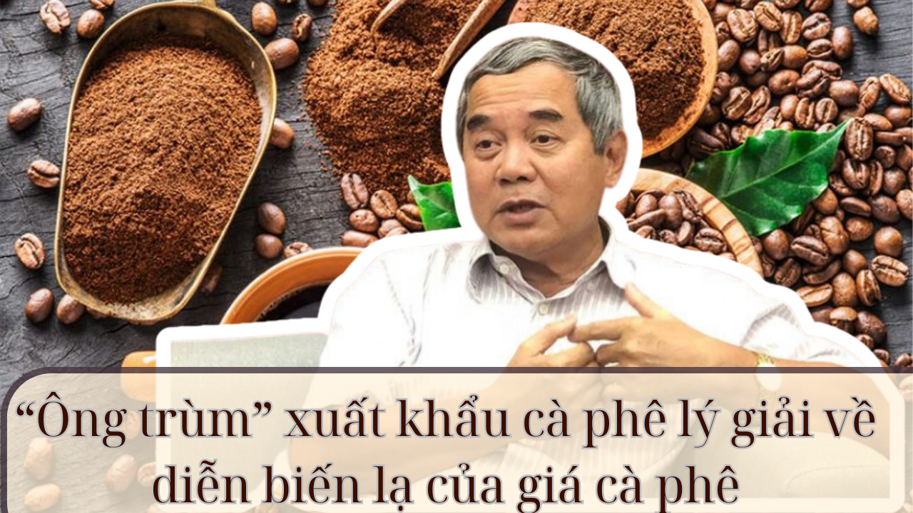 “Ông trùm” xuất khẩu cà phê lý giải về diễn biến lạ của giá cà phê - Ảnh 1