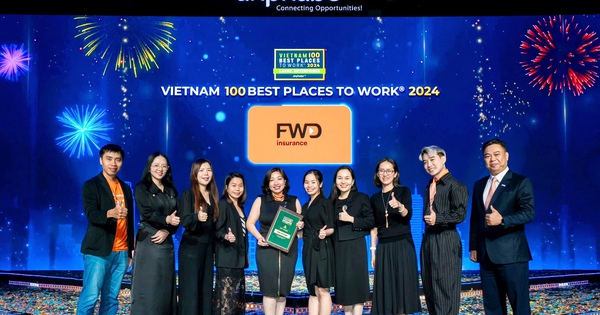 FWD Việt Nam: Điểm sáng trong bảng xếp hạng môi trường làm việc 2024