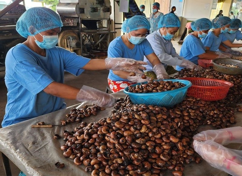 Nhà máy 12 triệu USD của Campuchia sắp hoàn thành, một ngành thế mạnh của Việt Nam có thể bị ảnh hưởng - Ảnh 2