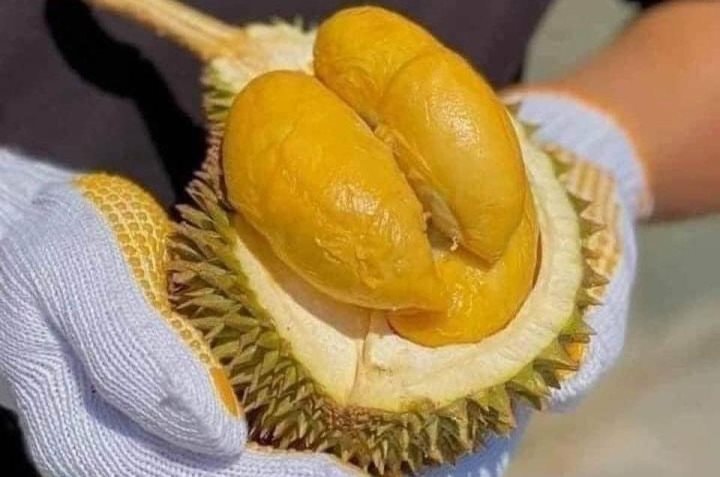 Xuất khẩu loại quả tỷ USD sang Trung Quốc, láng giềng Việt Nam khởi động dự án đặc biệt chưa từng có - Ảnh 3