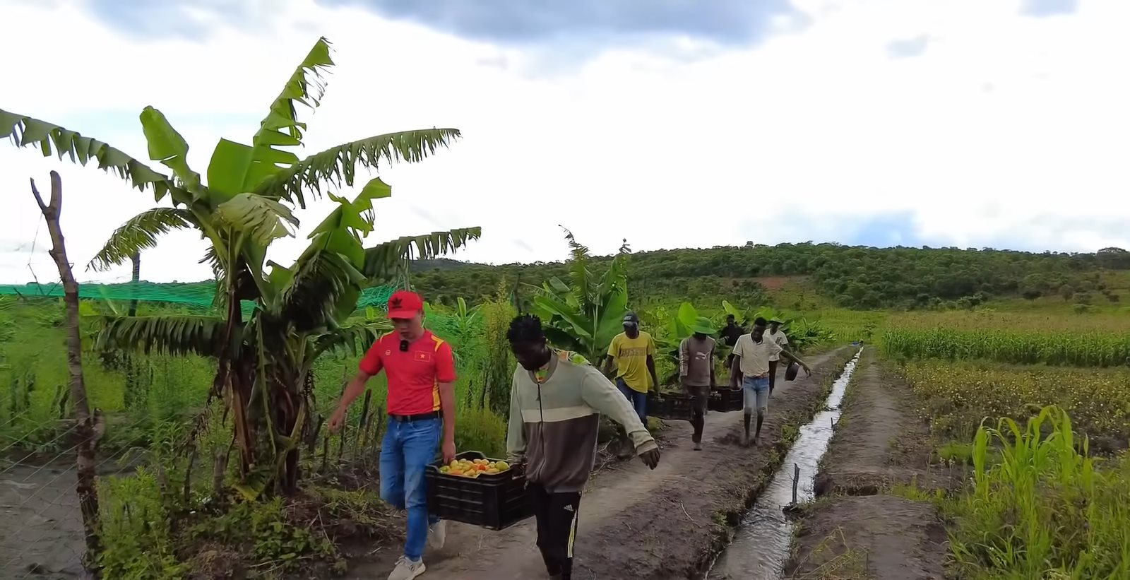 Loại quả bán đầy ở Việt Nam, sang châu Phi được thương lái tranh mua như đặc sản, khiến cả chợ một phen náo loạn - Ảnh 1