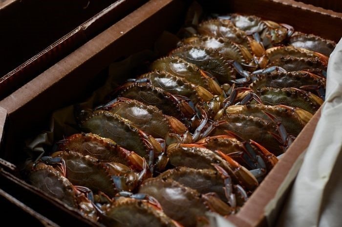 Kho báu dưới nước của Việt Nam sang Trung Quốc đắt hàng kỷ lục: xuất khẩu tăng nóng 700%, hơn 20 quốc gia săn mua - Ảnh 1