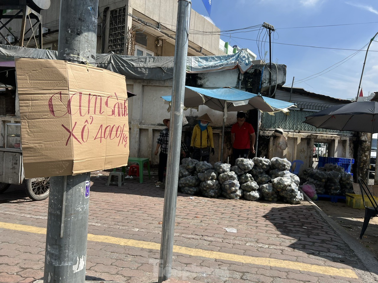 Lý do cam sành rớt giá thê thảm ở TPHCM, chỉ còn 4.000 – 5.000 đồng/kg - Ảnh 3