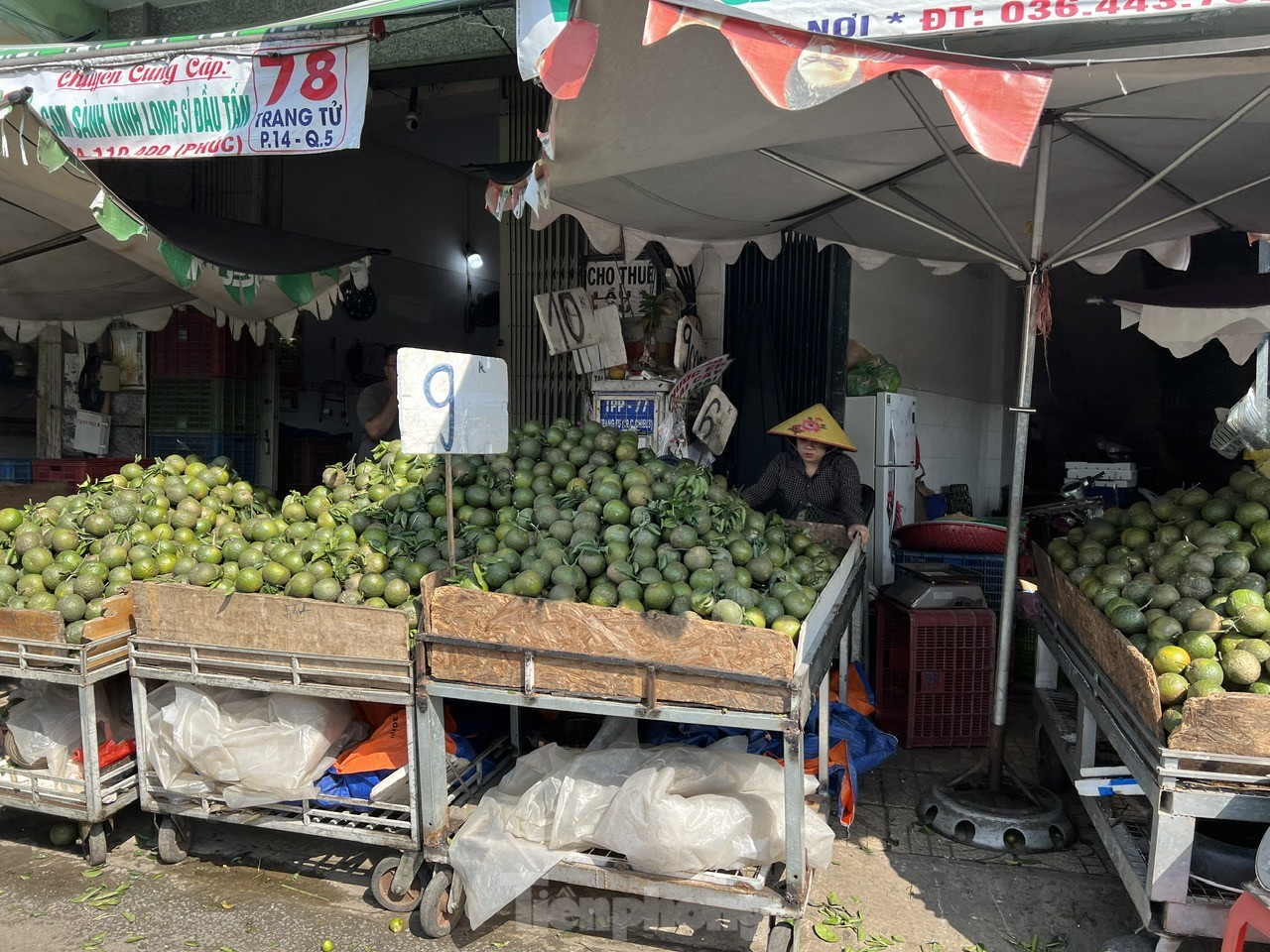 Lý do cam sành rớt giá thê thảm ở TPHCM, chỉ còn 4.000 – 5.000 đồng/kg - Ảnh 5