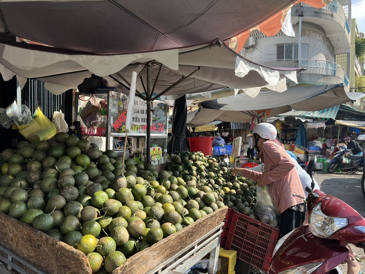 Lý do cam sành rớt giá thê thảm ở TPHCM, chỉ còn 4.000 – 5.000 đồng/kg - Ảnh 7