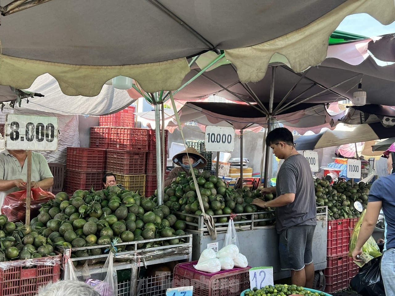 Lý do cam sành rớt giá thê thảm ở TPHCM, chỉ còn 4.000 – 5.000 đồng/kg - Ảnh 6