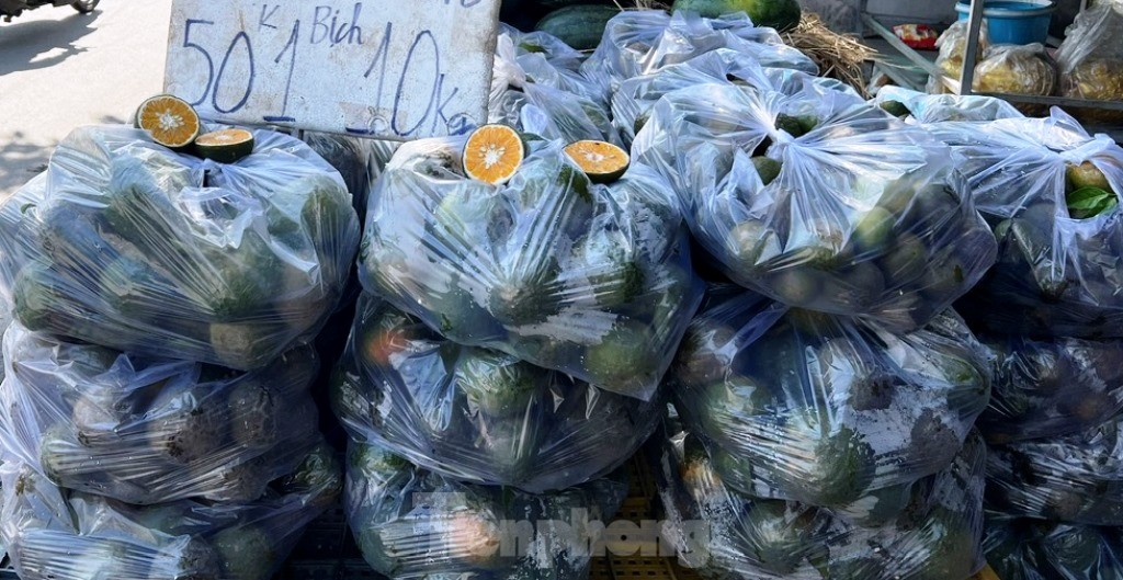 Lý do cam sành rớt giá thê thảm ở TPHCM, chỉ còn 4.000 – 5.000 đồng/kg - Ảnh 2