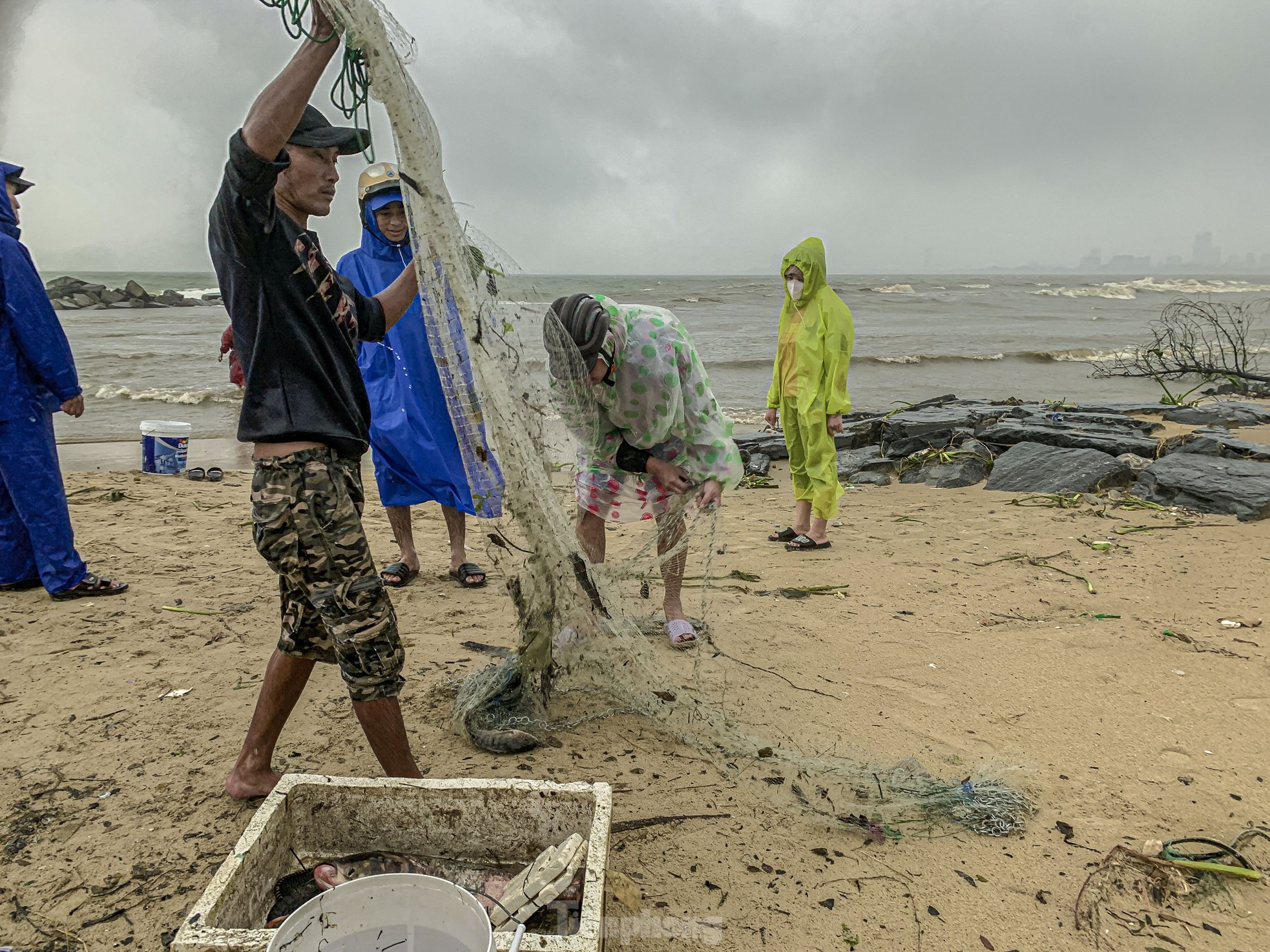 Mưa to gió lớn, người dân Đà Nẵng giăng lưới trúng cá lớn - Ảnh 5