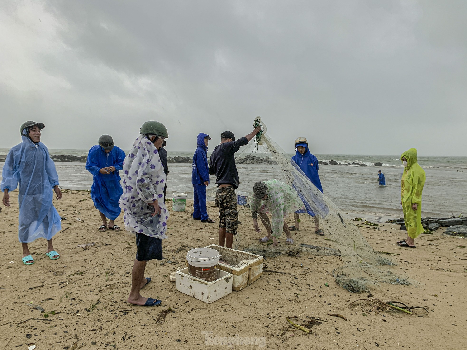 Mưa to gió lớn, người dân Đà Nẵng giăng lưới trúng cá lớn - Ảnh 1