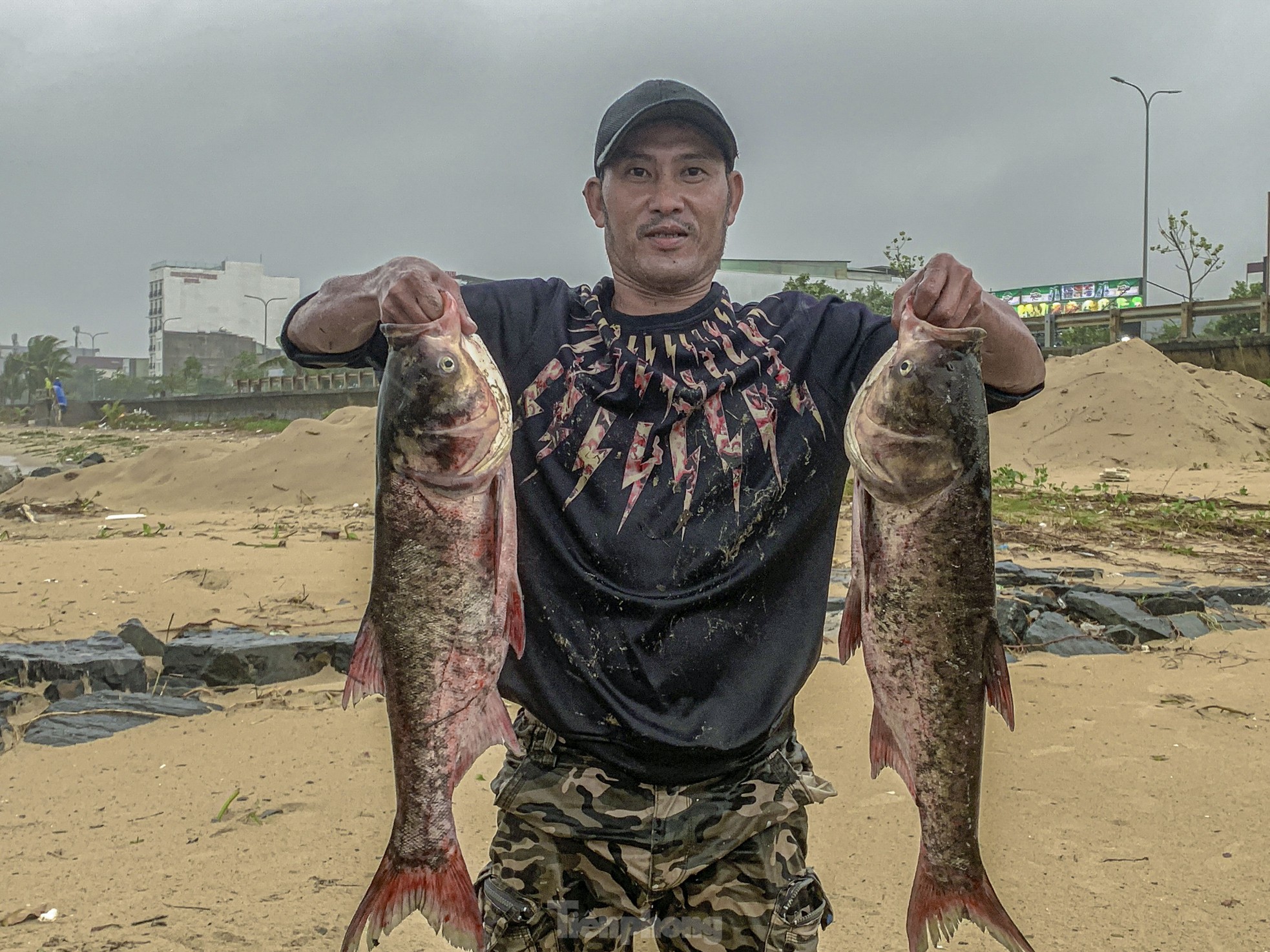 Mưa to gió lớn, người dân Đà Nẵng giăng lưới trúng cá lớn - Ảnh 3