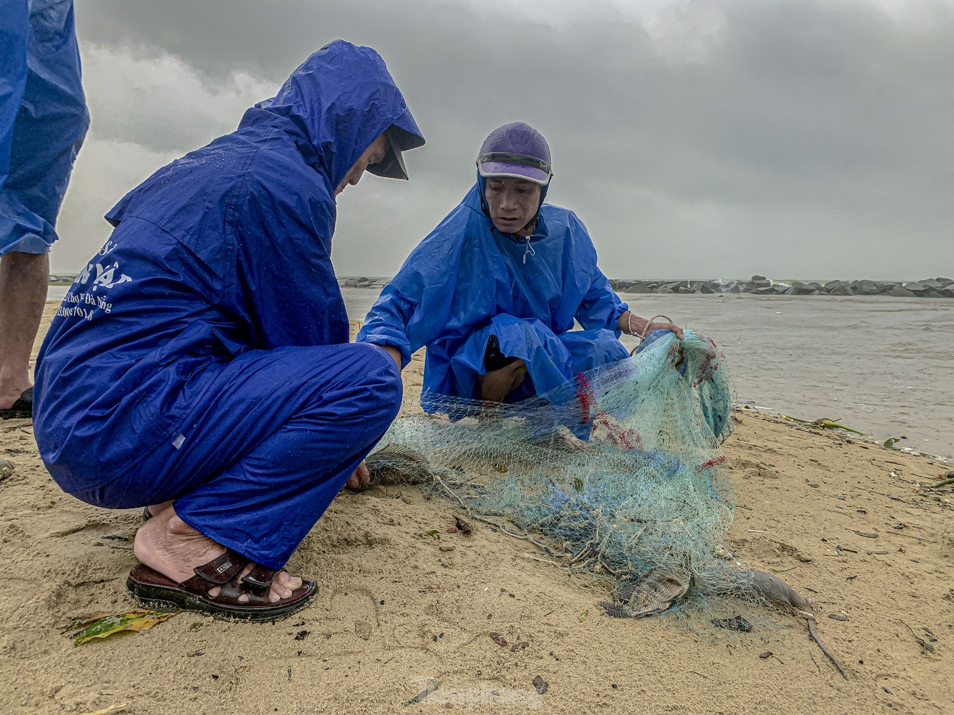 Mưa to gió lớn, người dân Đà Nẵng giăng lưới trúng cá lớn - Ảnh 8