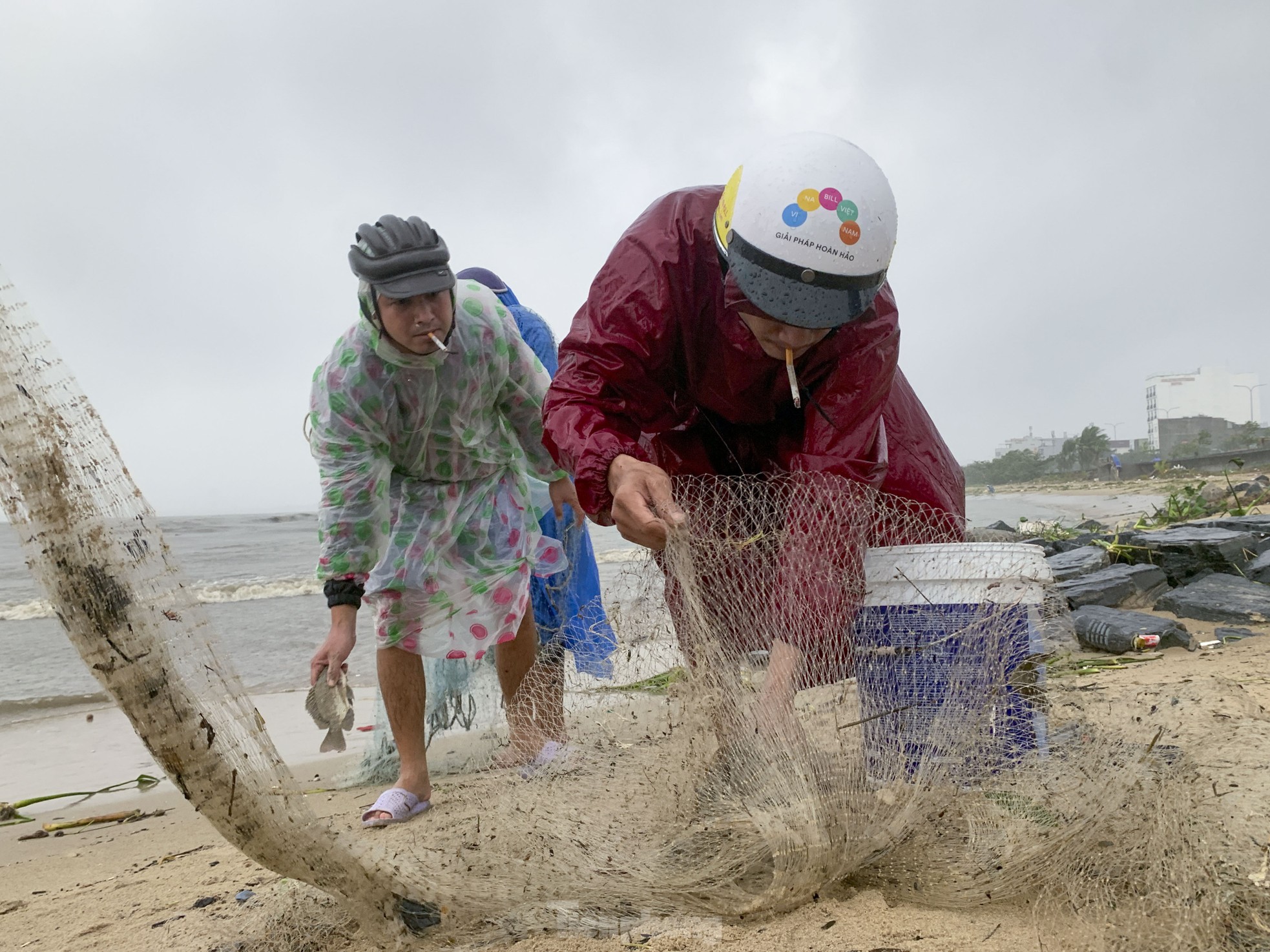 Mưa to gió lớn, người dân Đà Nẵng giăng lưới trúng cá lớn - Ảnh 6